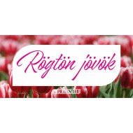 Rögtön jövök ( tulipán ) matrica, tábla 21×10 cm-től Rögtön jövök ( tulipán ) matrica, tábla 21×10 cm-től