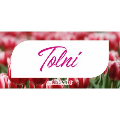 Tolni - húzni ( tulipán ) matrica, tábla 21×10 cm-től ( 2 db )