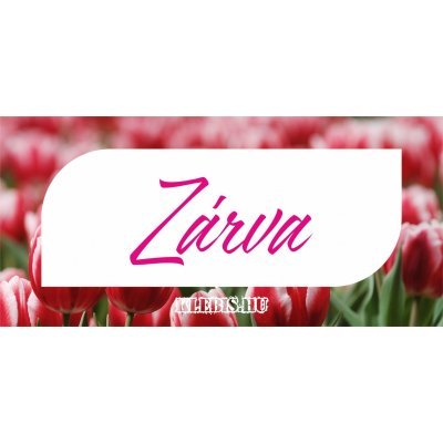 Nyitva - zárva ( tulipán ) matrica, tábla 21×10 cm-től ( 2 db )