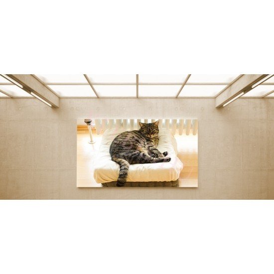 Pihenő cica - vászonkép, vászonfotó, vakráma 45 × 30 cm