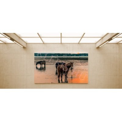 Vad lovak - vászonkép, vászonfotó, vakráma 45 × 30 cm