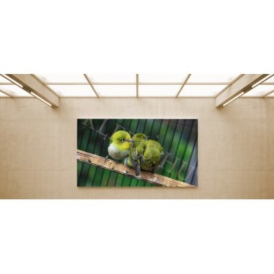 Három madár - vászonkép, vászonfotó, vakráma 45 × 30 cm