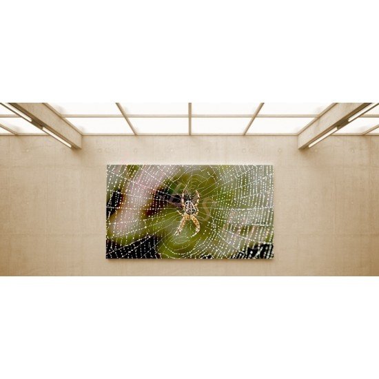 Keresztespók - vászonkép, vászonfotó, vakráma 45 × 30 cm