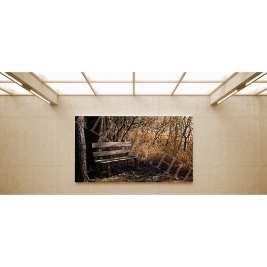 Pad az erdőben - vászonkép, vászonfotó, vakráma 45 × 30 cm