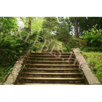 Erdei lépcső laptop matrica