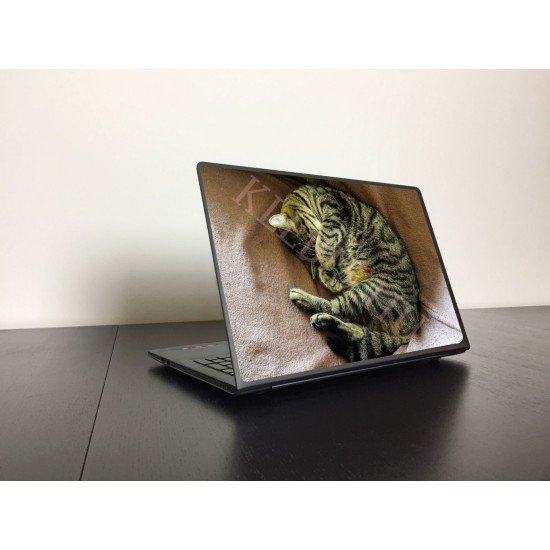 Aranyos cica laptop matrica