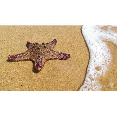 Csillaghal laptop matrica