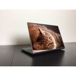 Fekvő cica laptop matrica