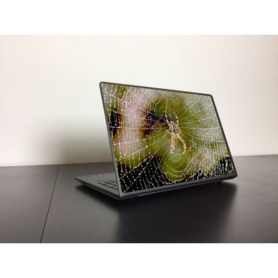 Keresztespók laptop matrica