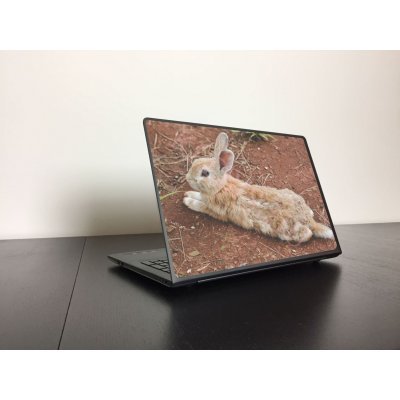 Nyuszi laptop matrica