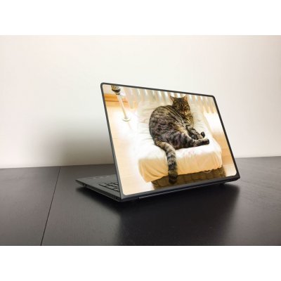 Pihenő cica laptop matrica