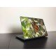 Színes pillangó laptop matrica Színes pillangó laptop matrica