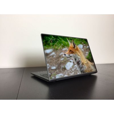 Róka laptop matrica