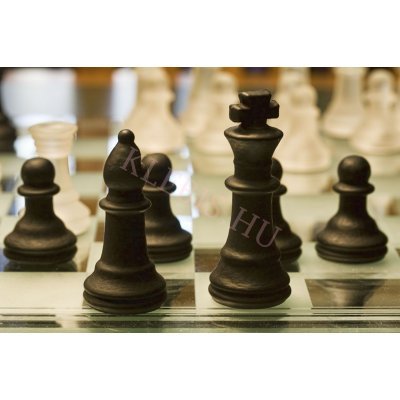 Sakkfigurák laptop matrica