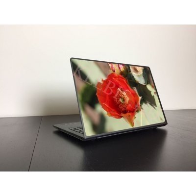 Kaktusz virága laptop matrica Kaktusz virága laptop matrica