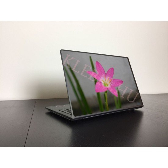 Rózsaszín liliom laptop matrica