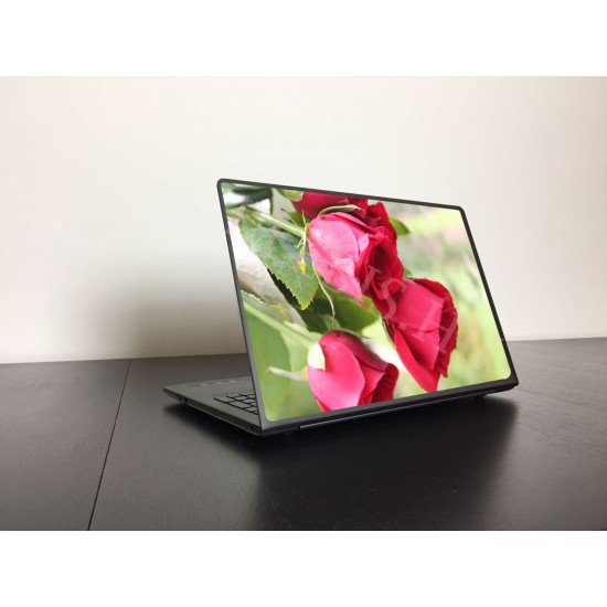 Vörös rózsa laptop matrica